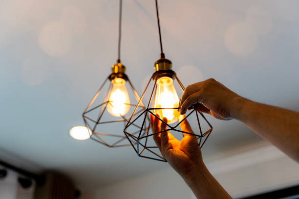 Best Electrical System Inspection  in Andalusia, IL