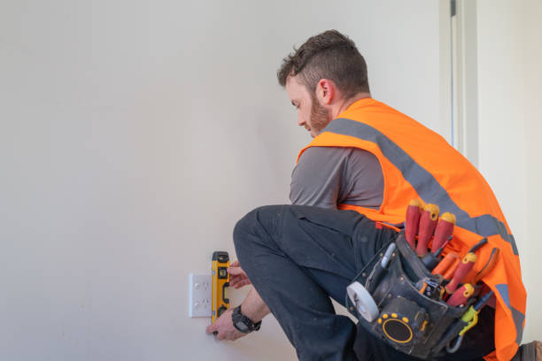 Best Electric Panel Repair  in Andalusia, IL