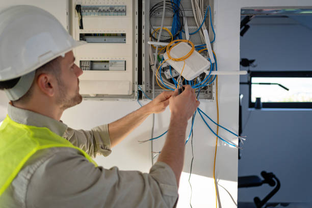Best Electrical System Inspection  in Andalusia, IL